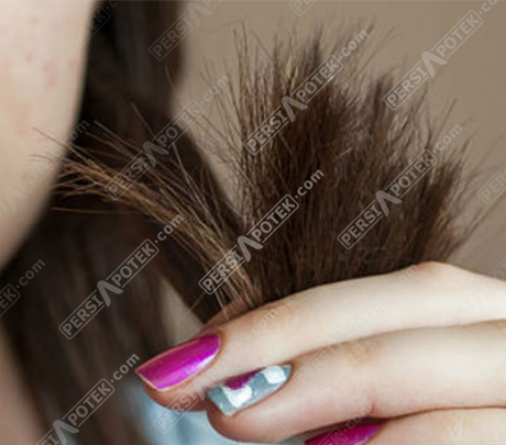 بهترین راه برای ترمیم موهای خشک و آسیب دیده